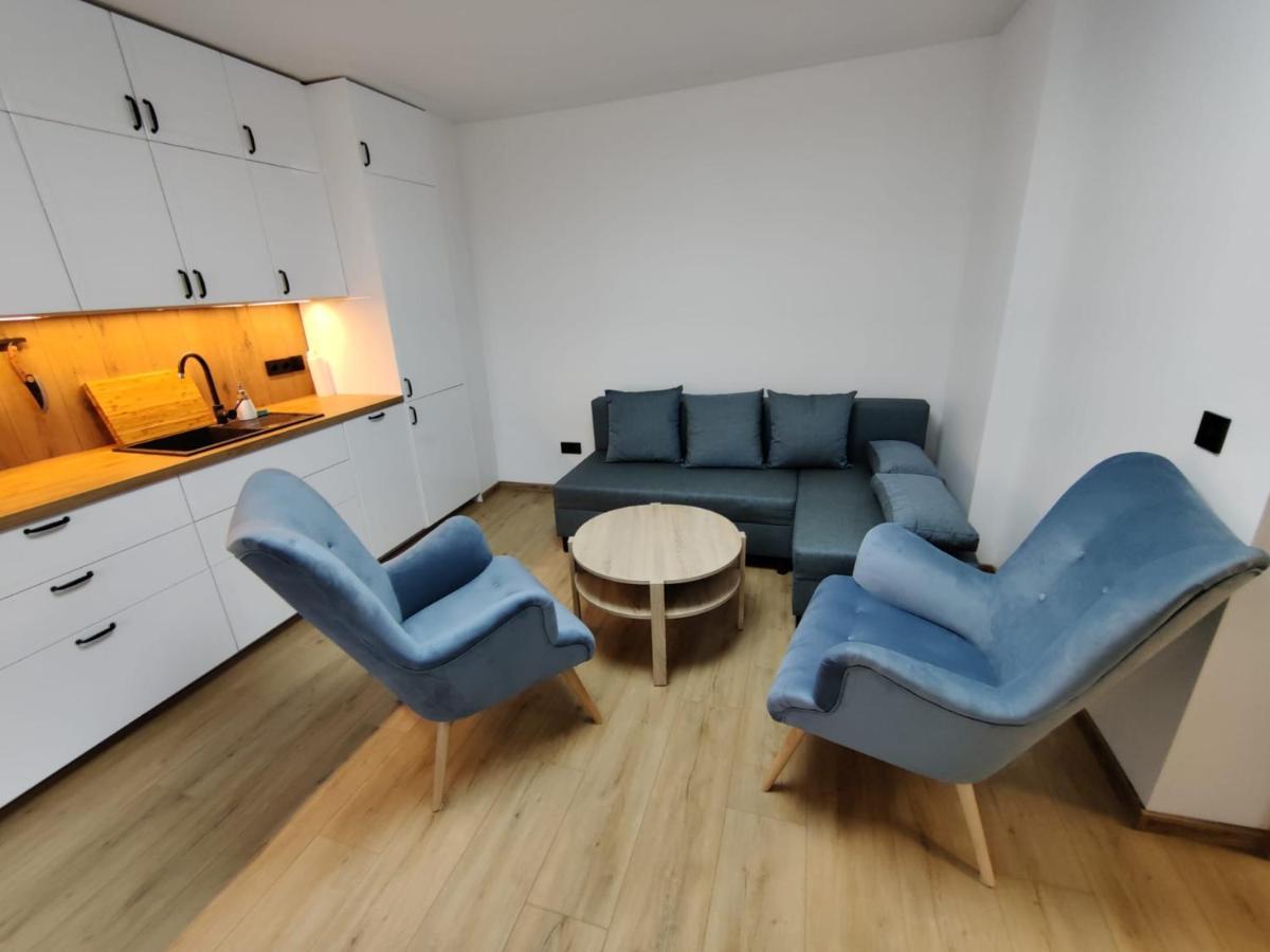Apartament De Lux Lidia カルパッチ エクステリア 写真